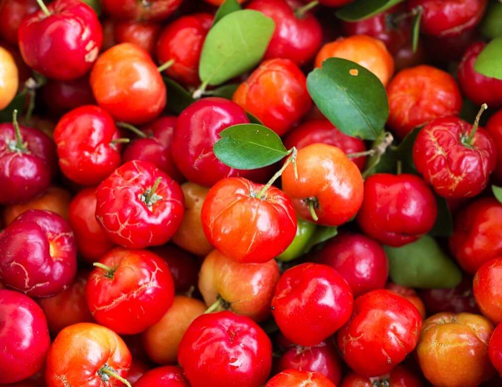 Acerola Extract