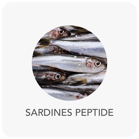 Sardine Peptide